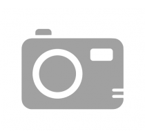 Apple Watch Ultra GPS + Cellular 49mm Titan natur Alpine Loop dunkelgrün M